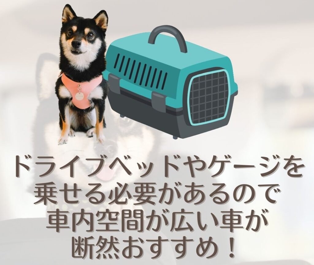 犬を車に乗せるときの注意点