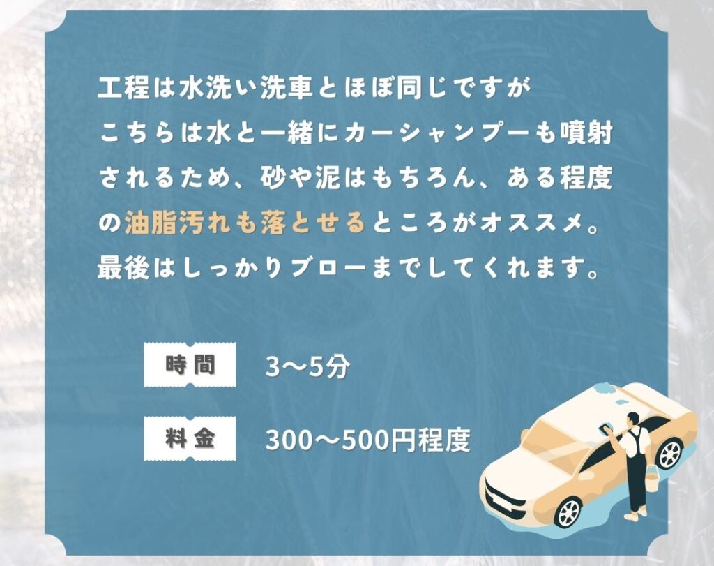 シャンプー洗車